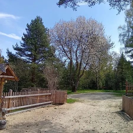 Waldviertel Auszeit - Lichtung Im Wald - Alleinlage בית נופש Scheiben