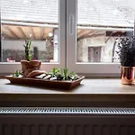 Сasa de vacaciones Waldviertel Auszeit - Lichtung Im Wald - Alleinlage
