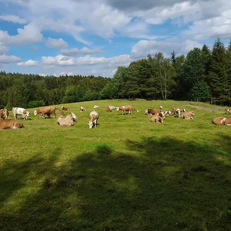 Waldviertel-auszeit Ferienhaus