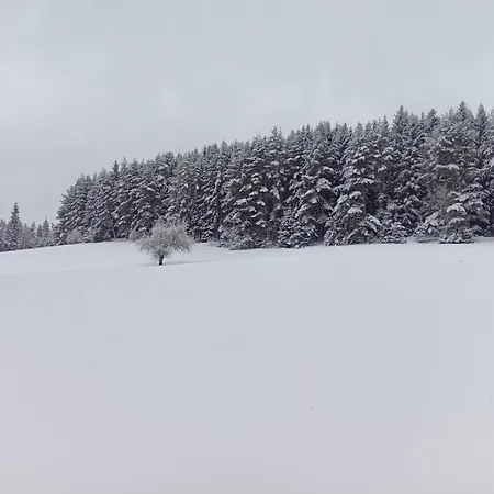 Waldviertel Auszeit - Lichtung Im Wald - Alleinlage Scheiben