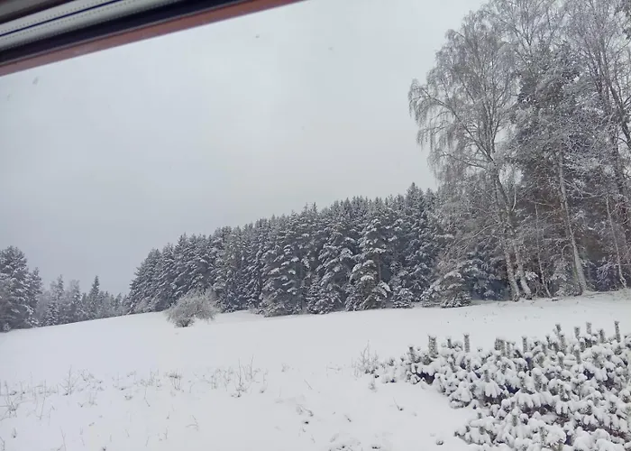 Waldviertel-auszeit * Scheibe