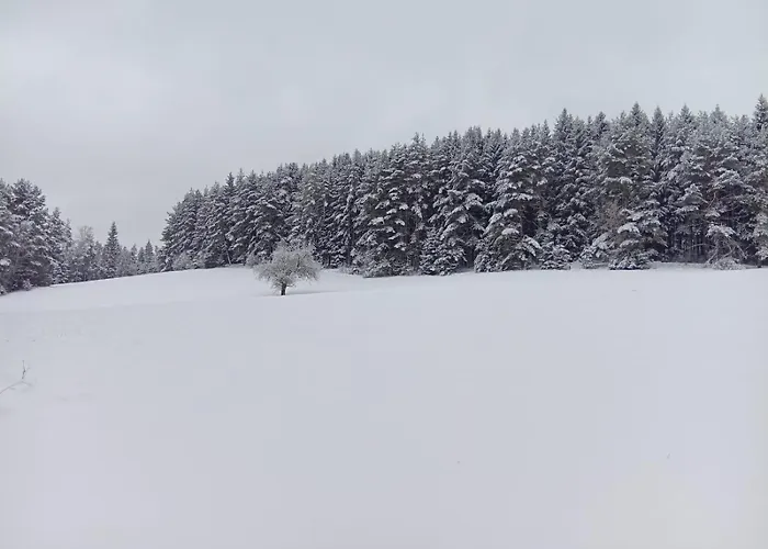 Waldviertel-auszeit Scheibe