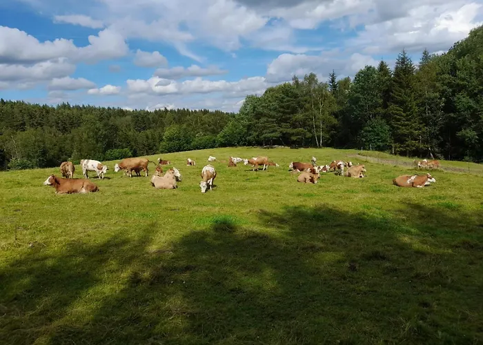 Waldviertel-auszeit 度假居